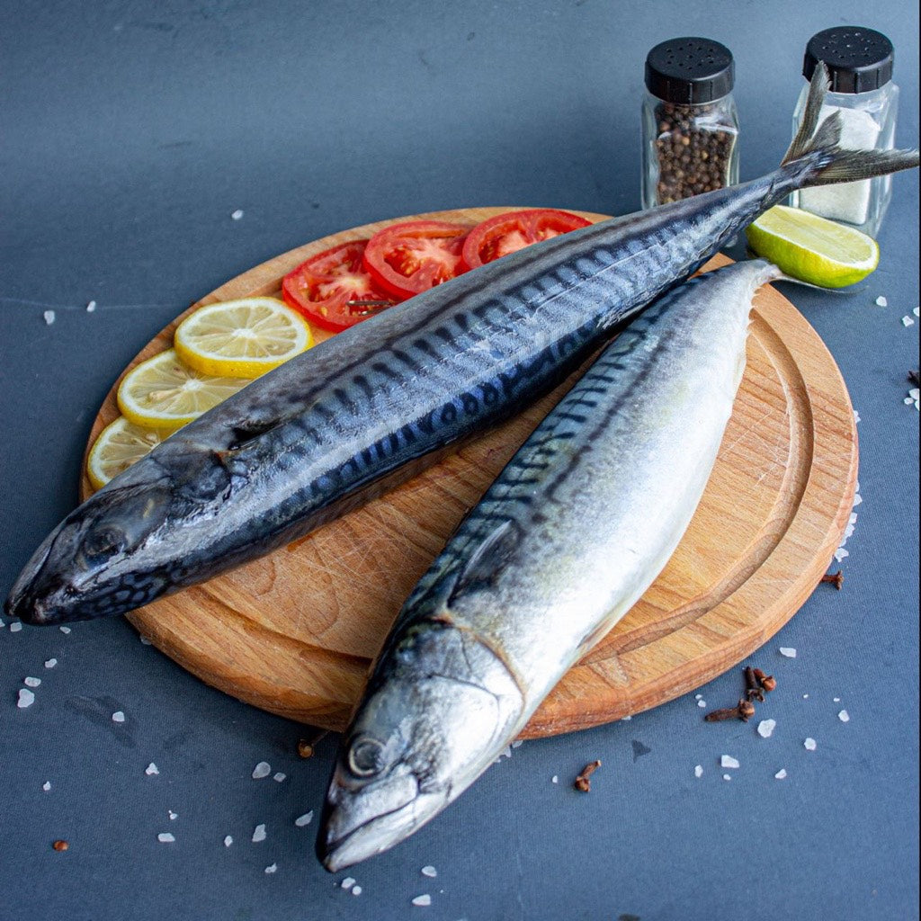 Скумбрія с/м 400-600 Головне фото продукту