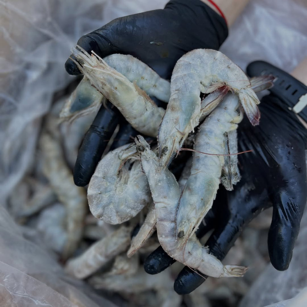 Креветка тигровая 30/40 с/х с/м 1кг