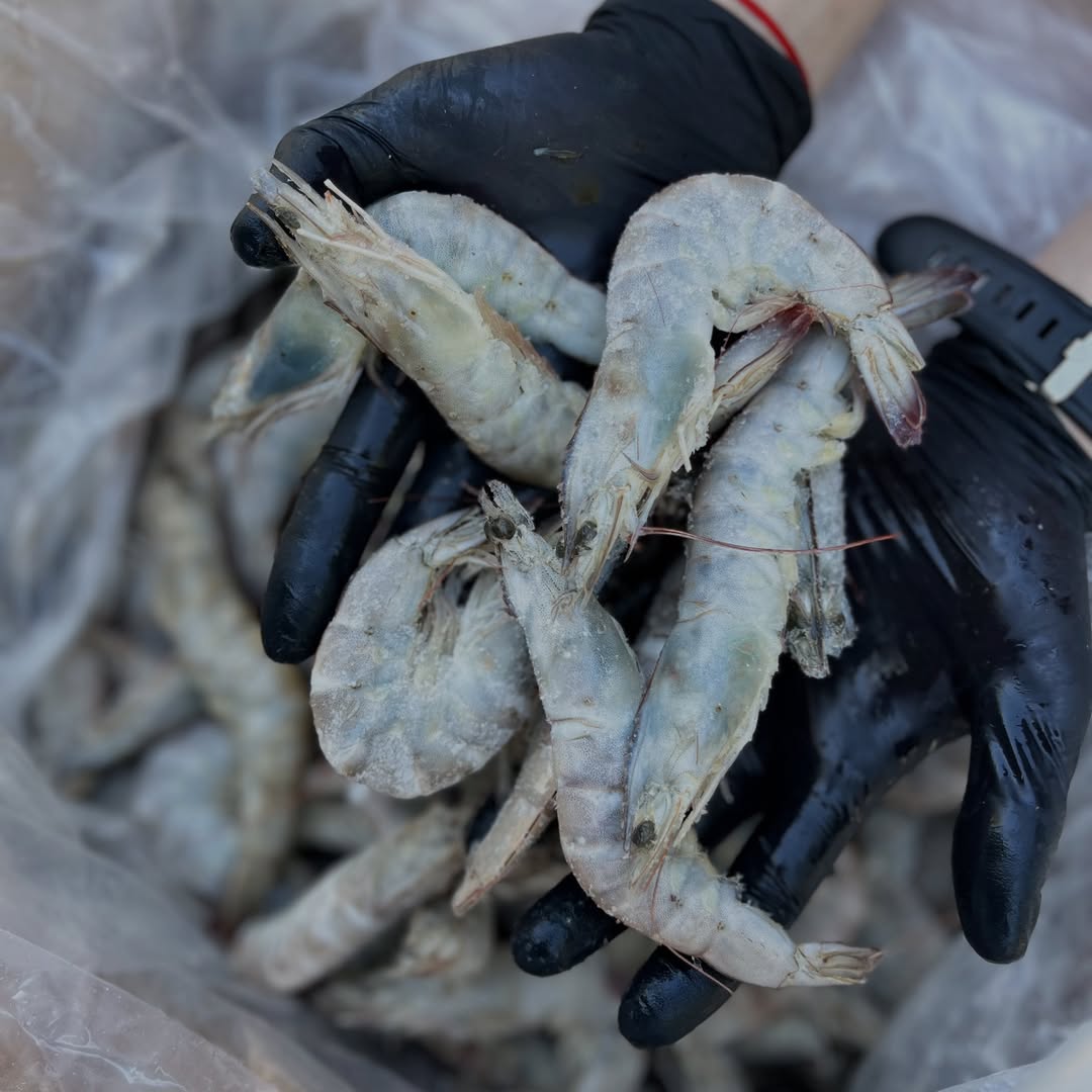 Креветка тигровая 30/40 с/х с/м 1кг