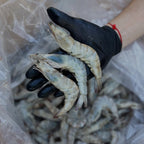 Креветка тигровая 30/40 с/х с/м 1кг