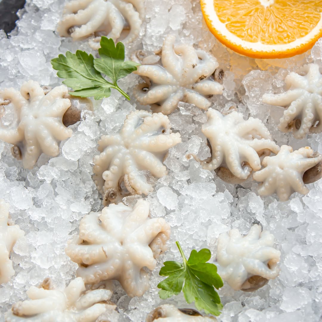 Малюк восьминіг с/м 60/80