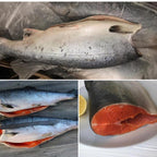 Кіжуч б/г 2,7-4,1 кг