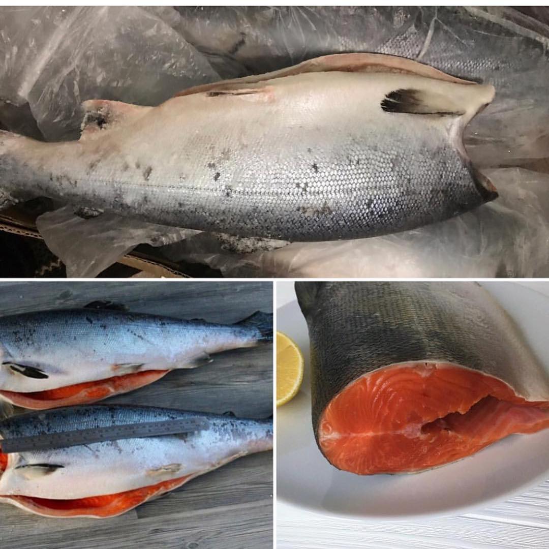 Кіжуч б/г 2,7-4,1 кг